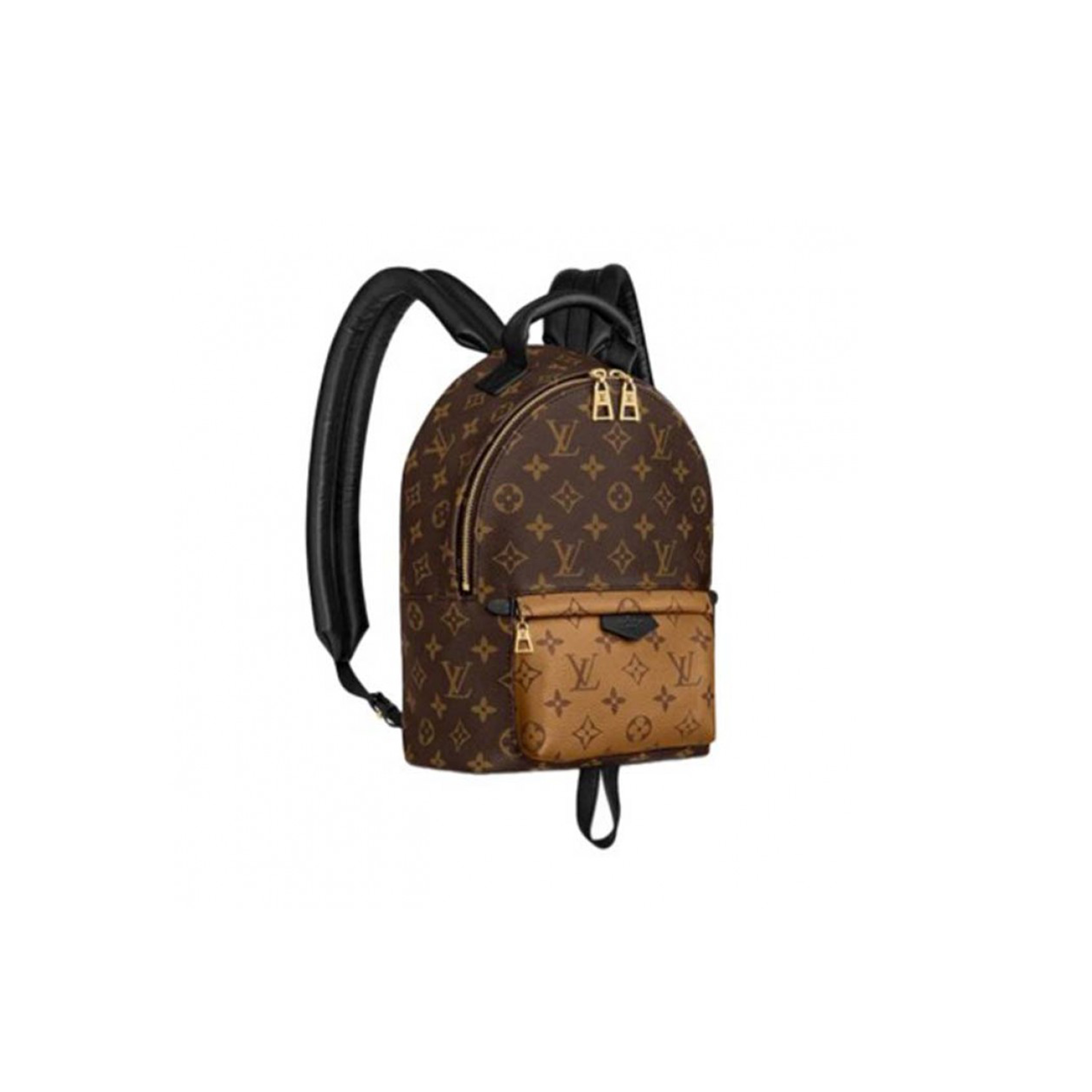 LOUIS VUITTON PALM SPRINGS PM M44870 (22*29*10cm)